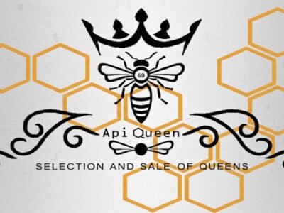 API QUEEN - logo -jpg -1